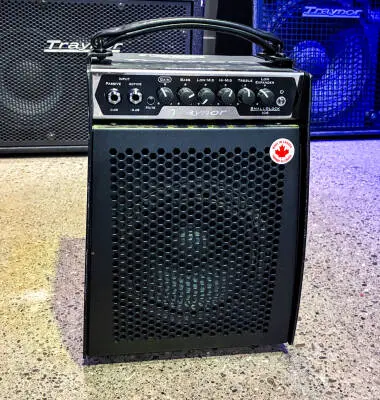 Traynor - 100 Watt Micro Combo/Bass Head